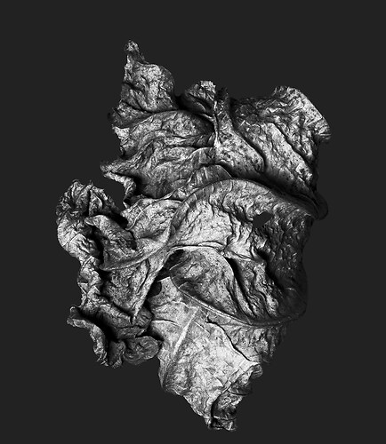 Zweite Schöpfung #133, 2022