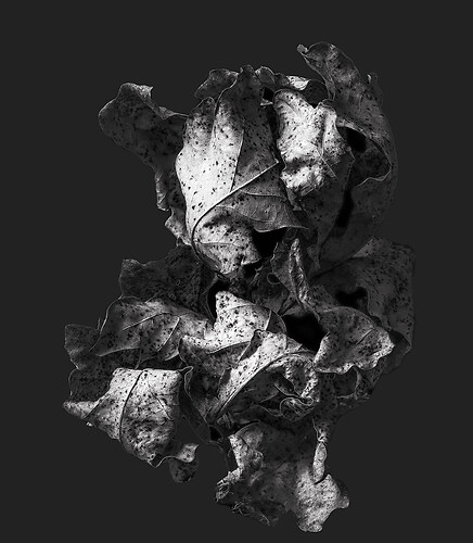 Zweite Schöpfung #196, 2025