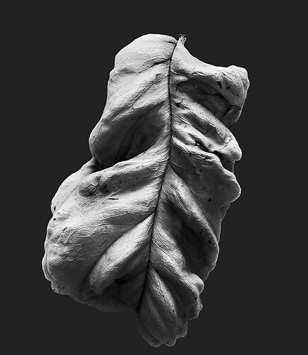 Zweite Schöpfung #161, 2024