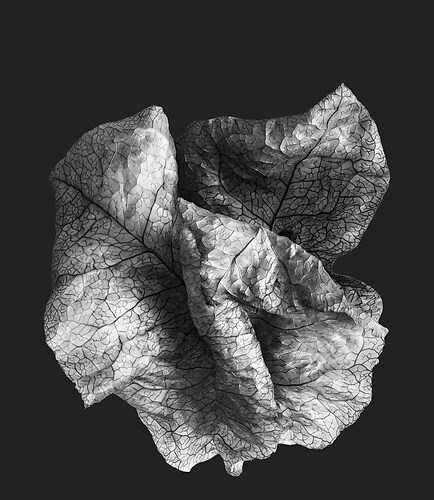 Zweite Schöpfung #150, 2023