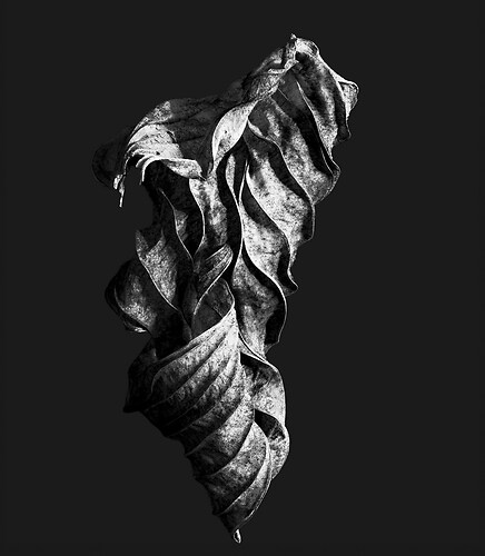 Zweite Schöpfung #130, 2024