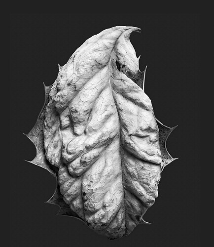 Zweite Schöpfung #186, 2025