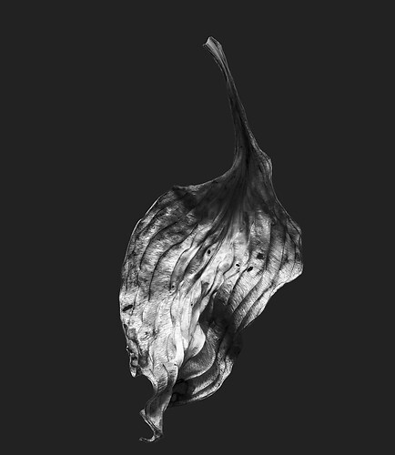 Zweite Schöpfung #160, 2024