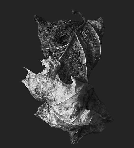 Zweite Schöpfung #137, 2022