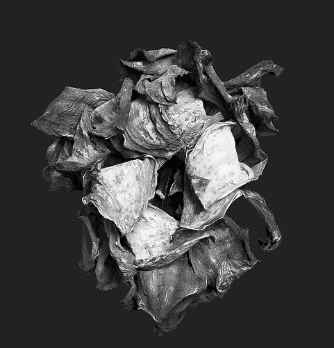 Zweite Schöpfung #189, 2025