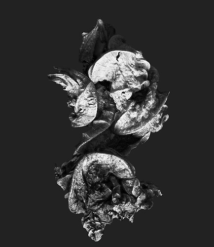 Zweite Schöpfung #80, 2022