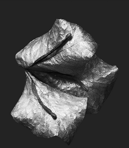 Zweite Schöpfung #110, 2022