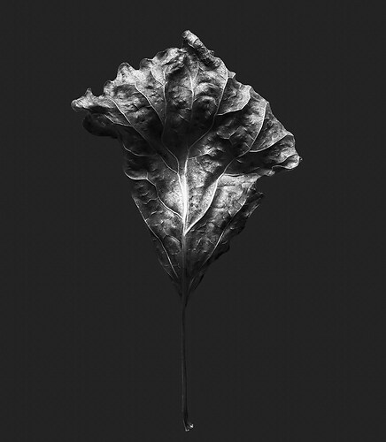 Zweite Schöpfung #177, 2025