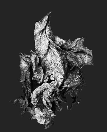 Zweite Schöpfung #29, 2022