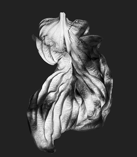 Zweite Schöpfung #180, 2025