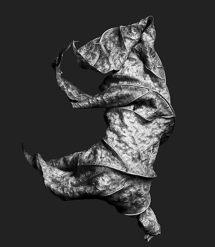 Zweite Schöpfung #47, 2022 (2)