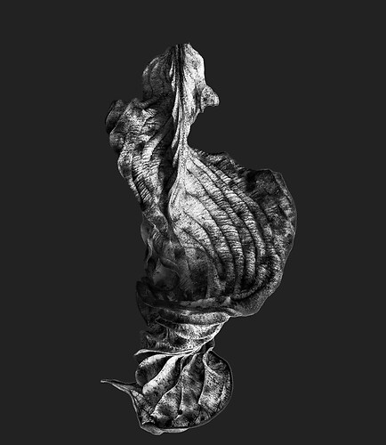 Zweite Schöpfung #143, 2023