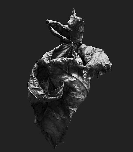 Zweite Schöpfung #59, 2022