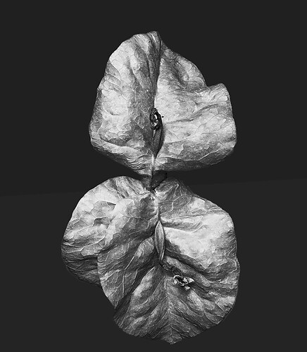 Zweite Schöpfung #55, 2022