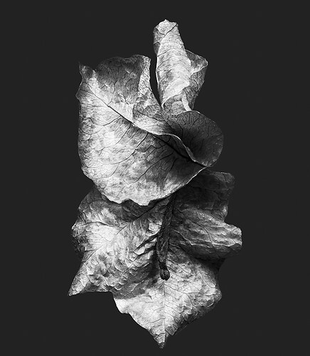 Zweite Schöpfung #96, 2022