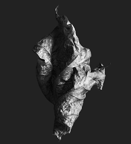 Zweite Schöpfung #75, 2022