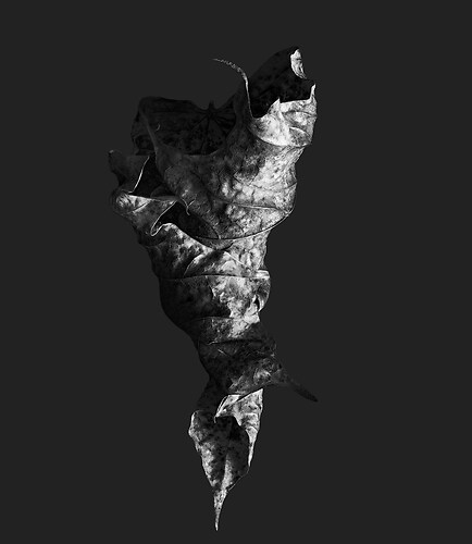 Zweite Schöpfung #115, 2022