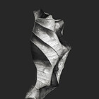 Serie "Zweite Schöpfung" Galerie 3