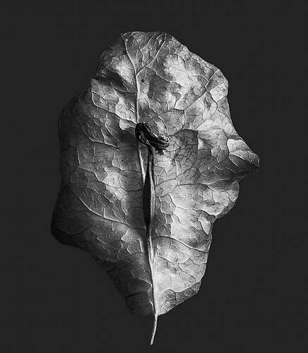 Zweite Schöpfung #14, 2022