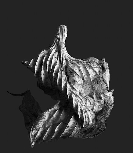 Zweite Schöpfung #174, 2025