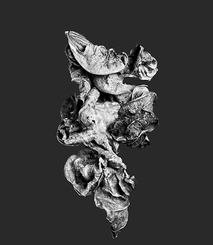 Zweite Schöpfung #101, 2022