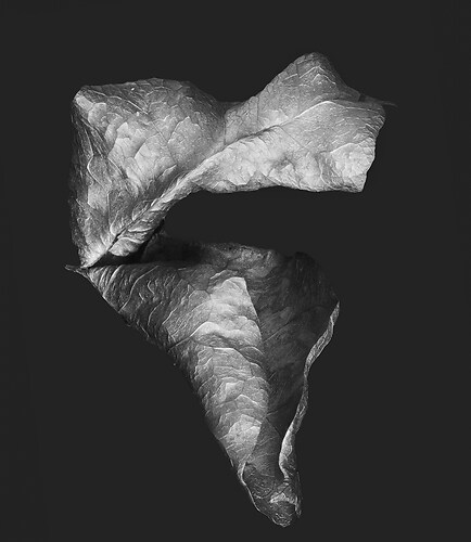 Zweite Schöpfung #135, 2022