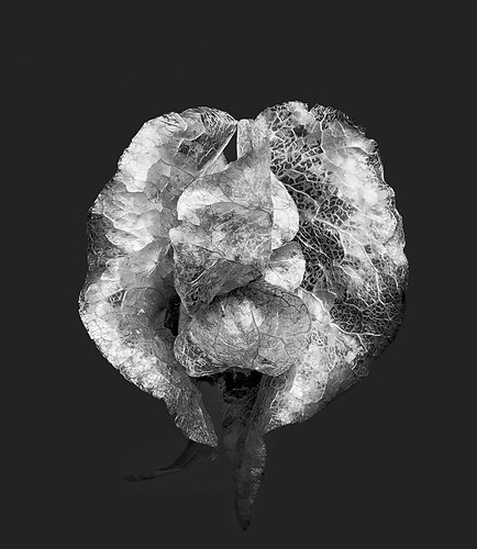 Zweite Schöpfung #8, 2022