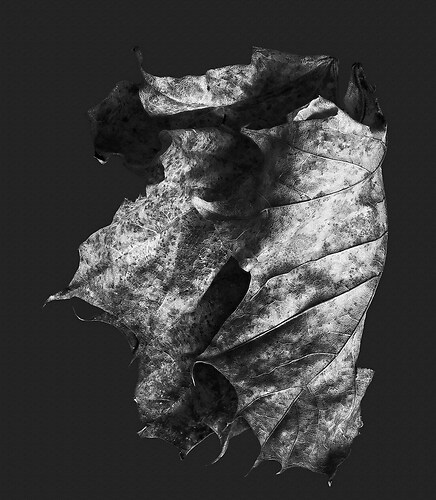 Zweite Schöpfung #4, 2022