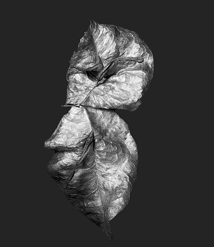 Zweite Schöpfung #84, 2022