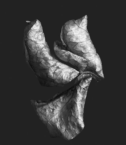 Zweite Schöpfung #16, 2022