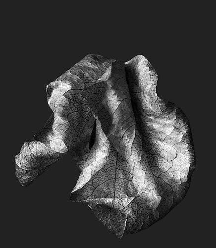 Zweite Schöpfung #50, 2022