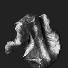 Serie "Zweite Schöpfung" Galerie 1