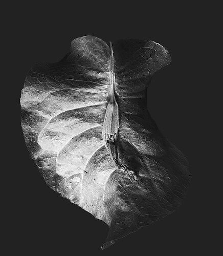 Zweite Schöpfung #173, 2025