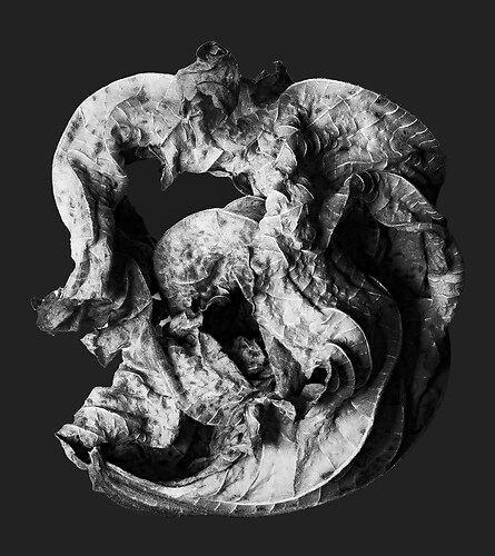 Zweite Schöpfung #154, 2023