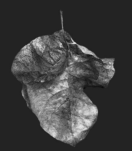 Zweite Schöpfung #72, 2021