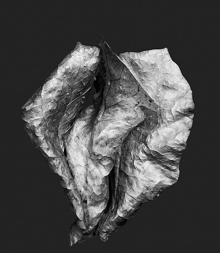 Zweite Schöpfung #42, 2022