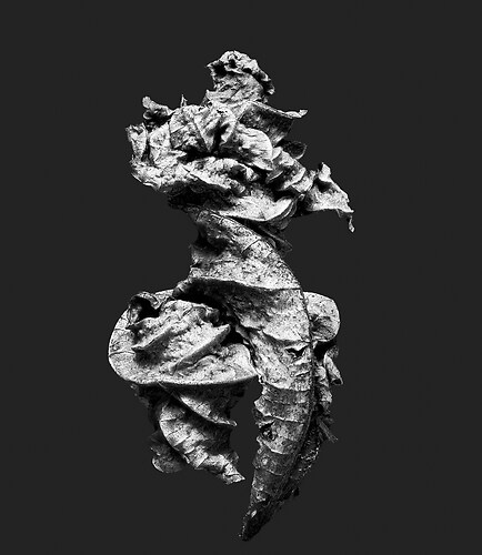 Zweite Schöpfung #61, 2022