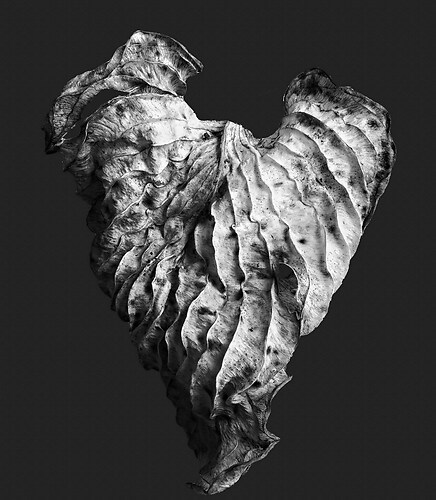 Zweite Schöpfung #182, 2025