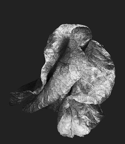 Zweite Schöpfung #12, 2022