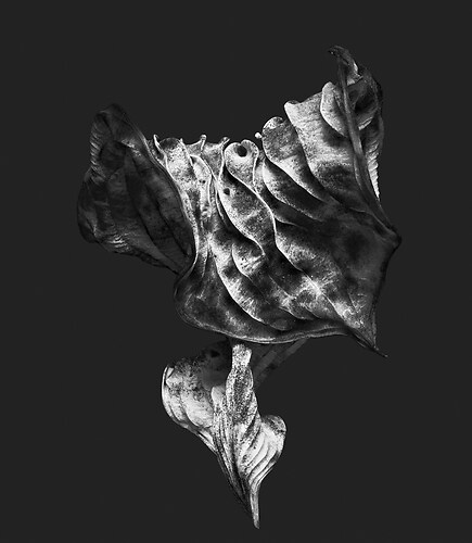 Zweite Schöpfung #126, 2024