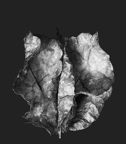 Zweite Schöpfung #44a, 2022