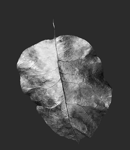 Zweite Schöpfung #43, 2022