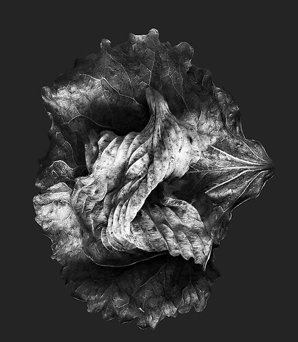 Zweite Schöpfung #176b, 2025