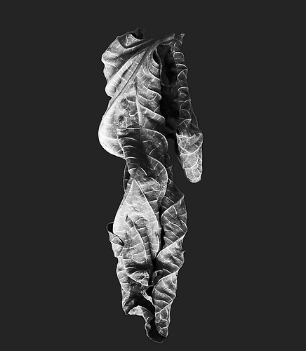 Zweite Schöpfung #178, 2025