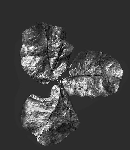 Zweite Schöpfung #195, 2025