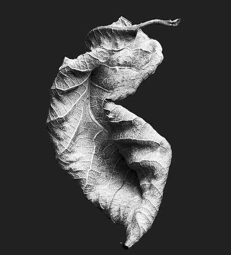 Zweite Schöpfung #10, 2022