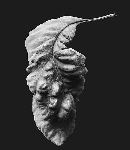 Zweite Schöpfung #163, 2024