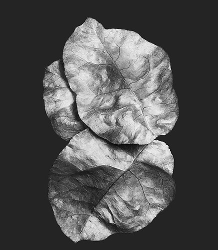 Zweite Schöpfung #83, 2021