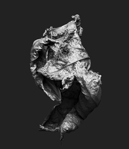 Zweite Schöpfung #34, 2022