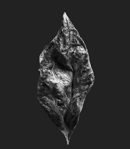 Zweite Schöpfung #145, 2023